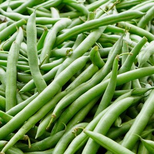 Kentucky Blue Pole Bean Seeds // Open Pollinated, Non-GMO, Phaseolus vulgaris
