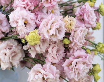 May include: A bouquet of light pink and yellow flowers. The flowers have multiple layers of delicate petals, with some blooms fully open and others still in bud. The stems are green, and the overall arrangement is lush and full.