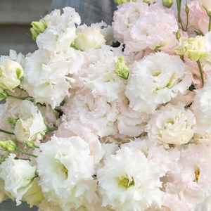 May include: A close-up of a bouquet of white and pale pink Lisianthus flowers. The flowers have ruffled petals and a soft, delicate appearance. Some buds are visible, and the overall arrangement is lush and full.