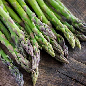 Mary Washington Asparagus Seeds // Heirloom, Non GMO, asparagus officinalis