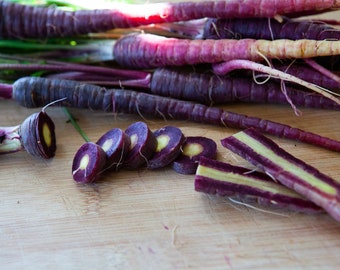 Black Nebula Carrots Seeds, 350 Count