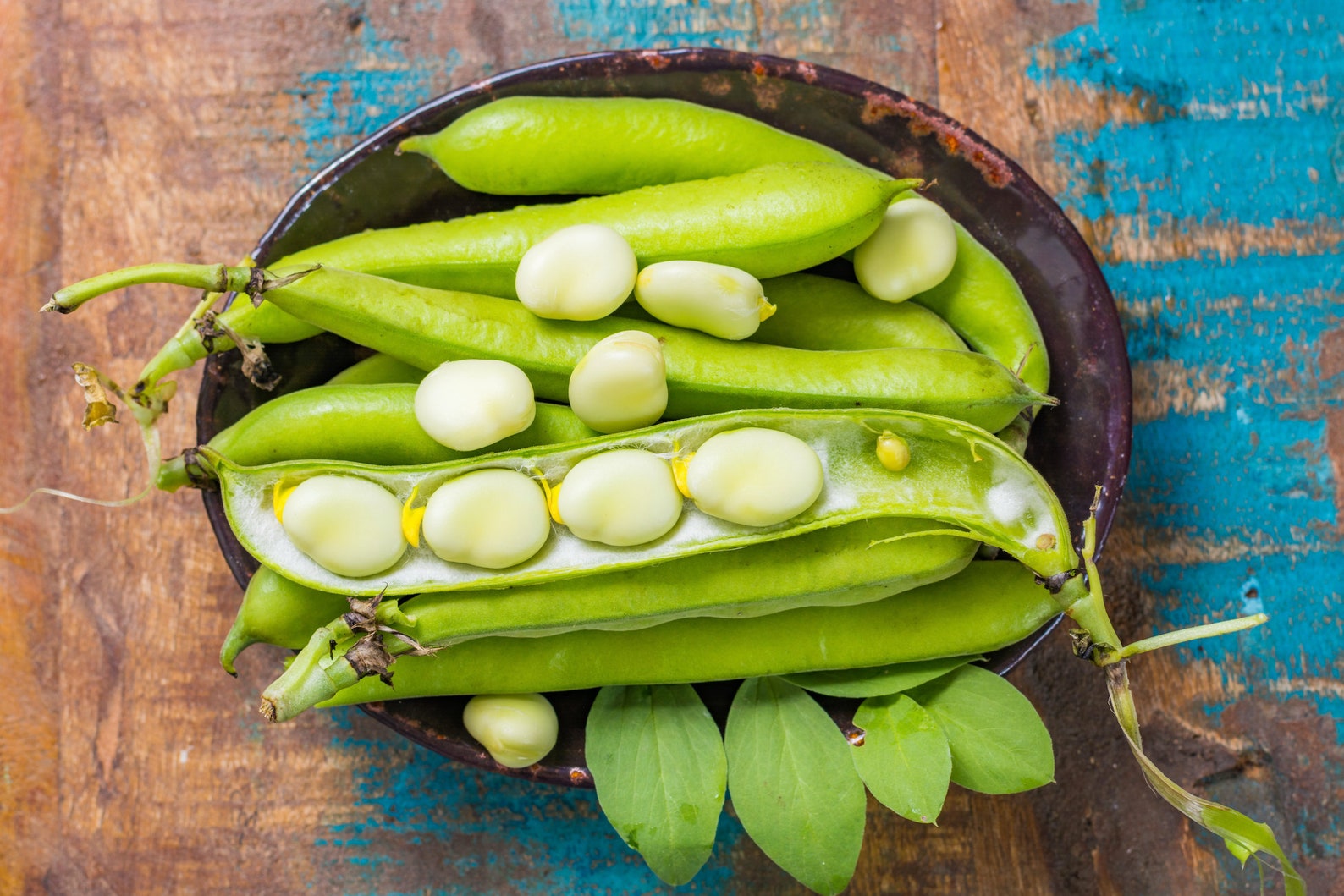 Fordhook Lima Bean Seeds 20 Lima Beans Butter Beans Seeds // Etsy
