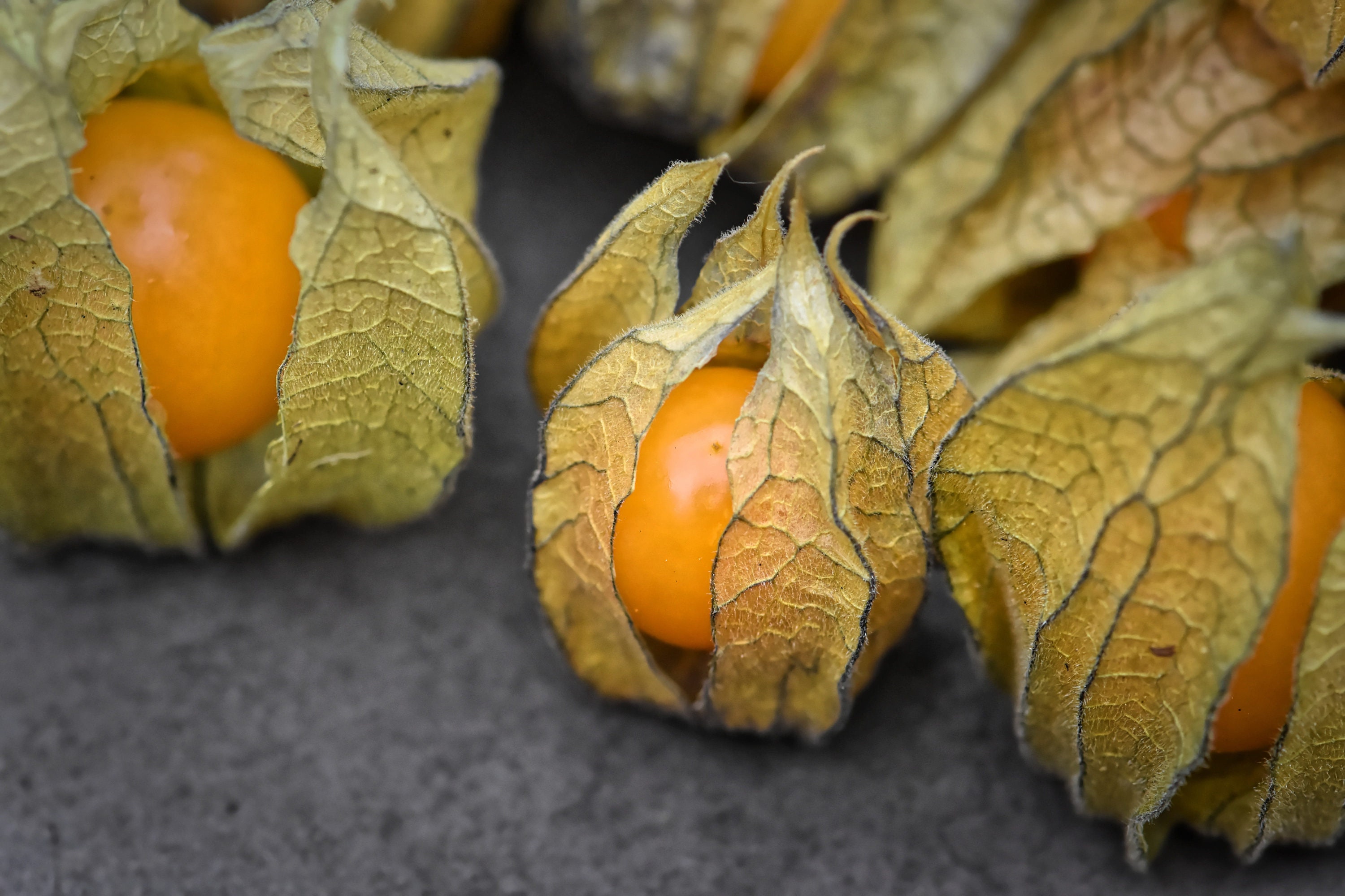 Cape Gooseberry Tomatillo Seeds Ground Cherry Orange Golden Etsy