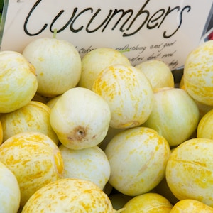 Lemon Cucumber Seeds, Round Yellow Cucumbers // Heirloom, Non-GMO, cucumis sativus &#39;lemon&#39;