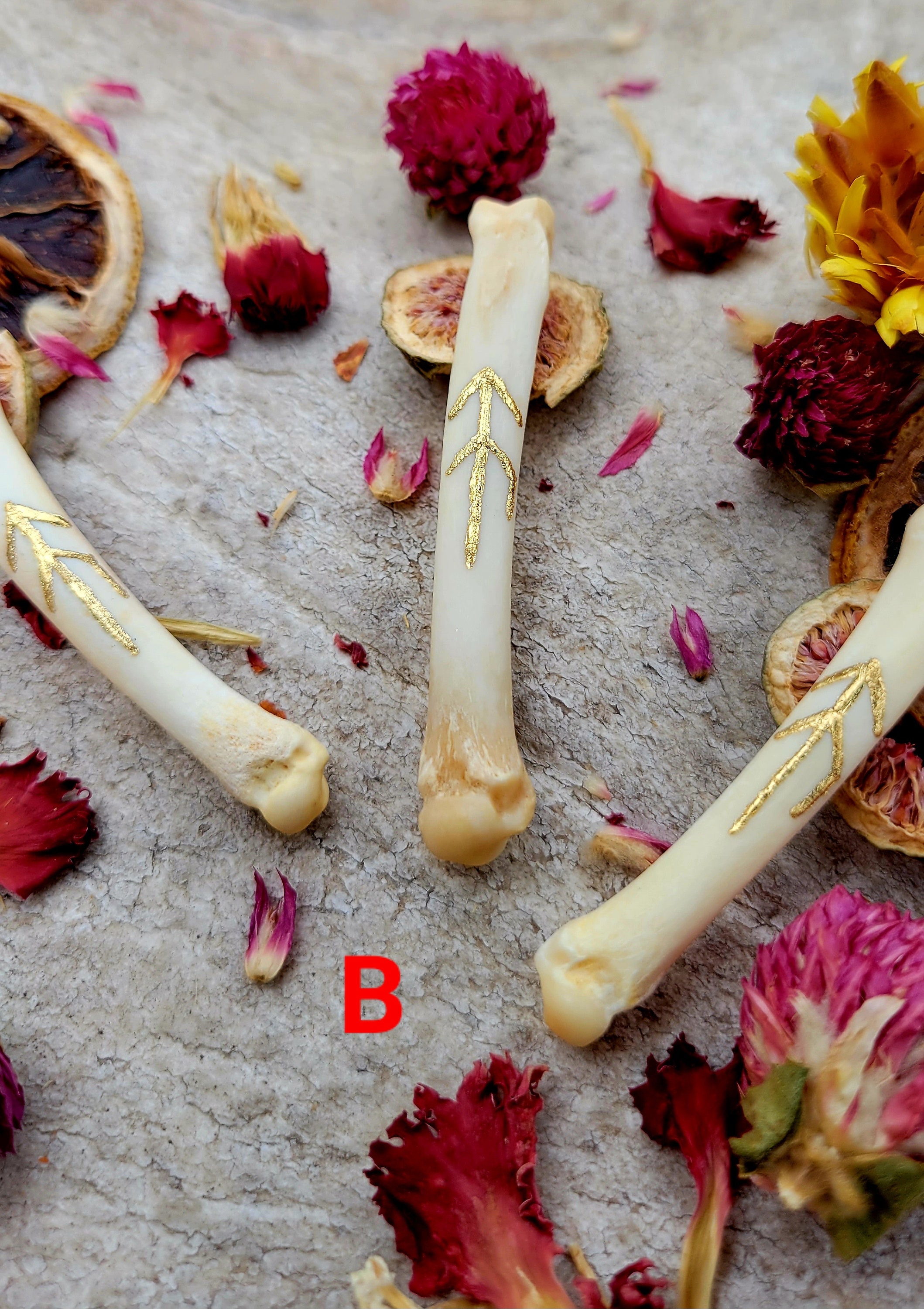 Bone Bind Rune Talismans Set, Bone Bind Runes, Coyote Bone Runes Set ...