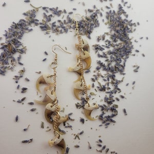Bobcat Claw Earrings