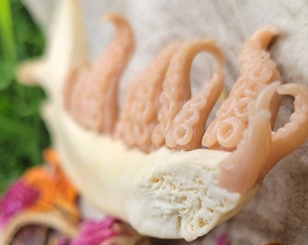 Coyote Jaw Bone With Tentacle Teeth - Etsy