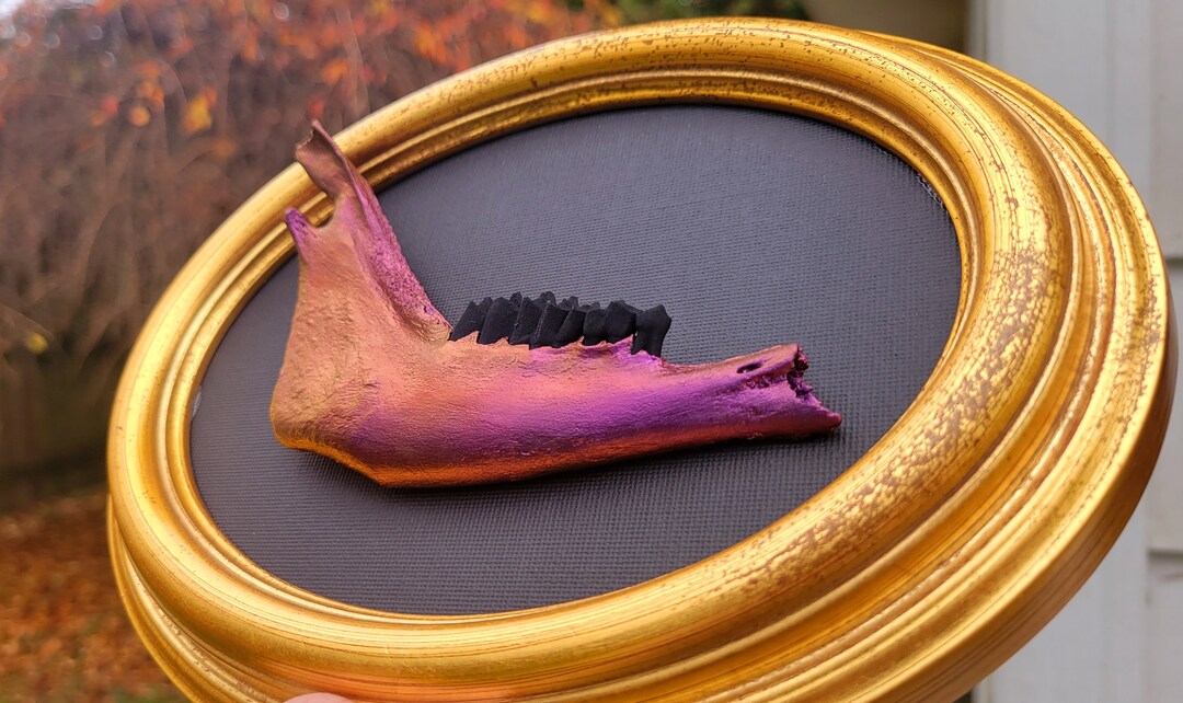 Deer Jaw Wall Art, Painted Jaw Art, Colorshift Wall Decor, Gothic Home ...