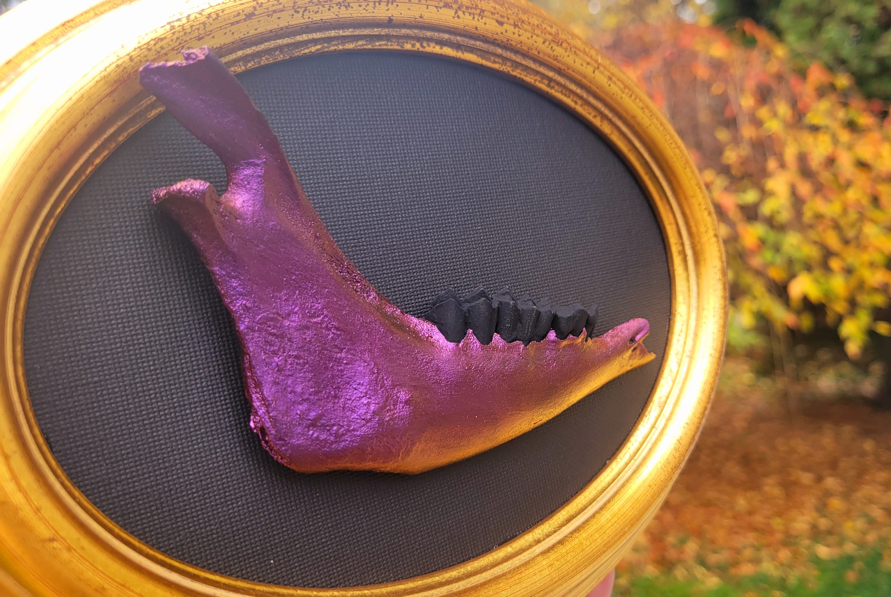 Deer Jaw Wall Art, Painted Jaw Art, Colorshift Wall Decor, Gothic Home ...