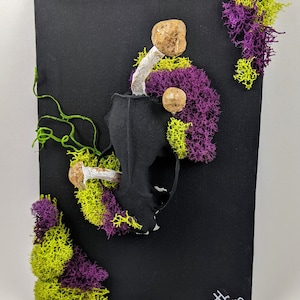 Mounted Mink Skull, Mushroom and moss decor, cottagecore decore, goth decor, spooky decore, gift for your goth girlfriend, gift for her