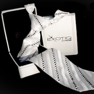 White Rhinestone Italian Silk Tie in Faux Leather Box