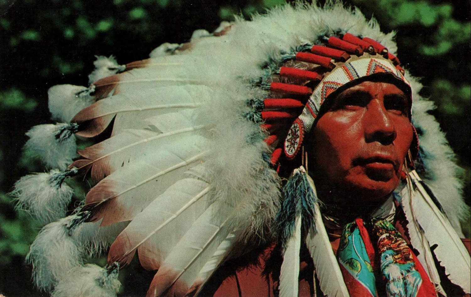 Индейцы канады 5 букв. Канадские индейцы. Открытка индеец. Индеец Чероки мужчина средних лет.