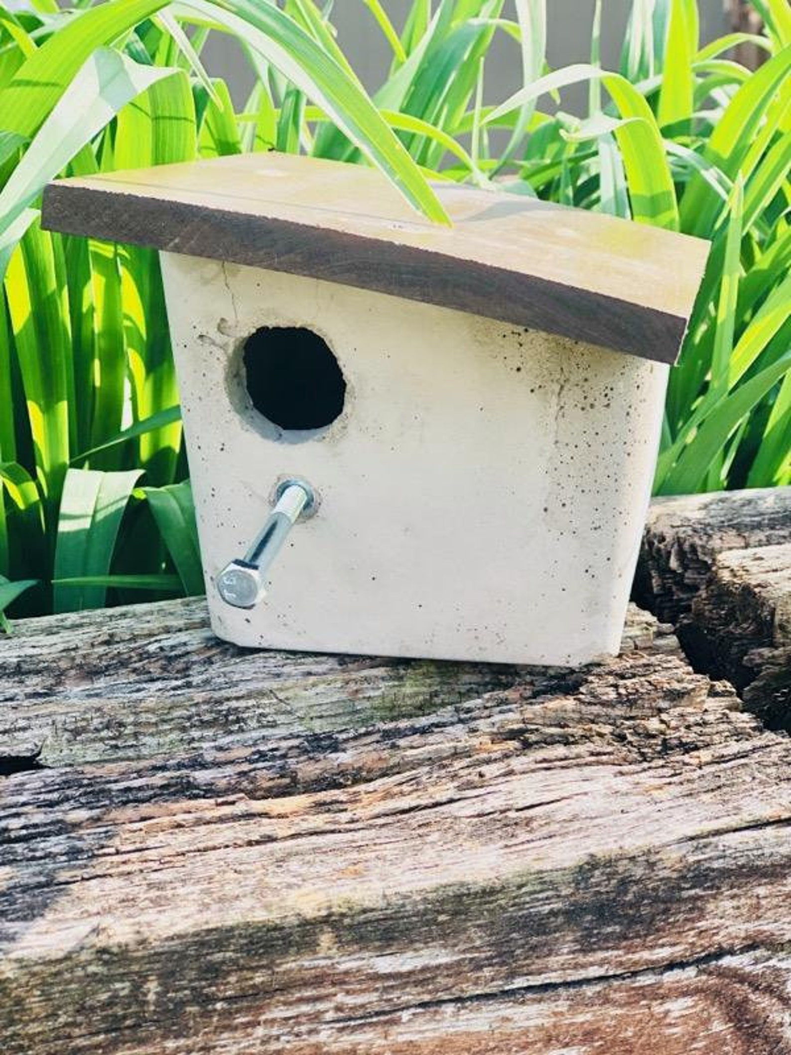 Concrete Bird House Side Slant Wood Roof With Bolted Perch - Etsy