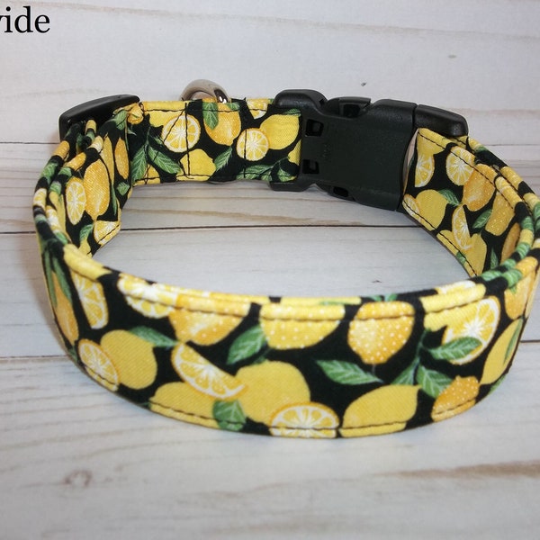 Lemon Lemons Summer fabric Dog Collar custom made by Terri's Dog Collars adjustable Black and yellow green leaves Boy Girl Lemonade Fruit