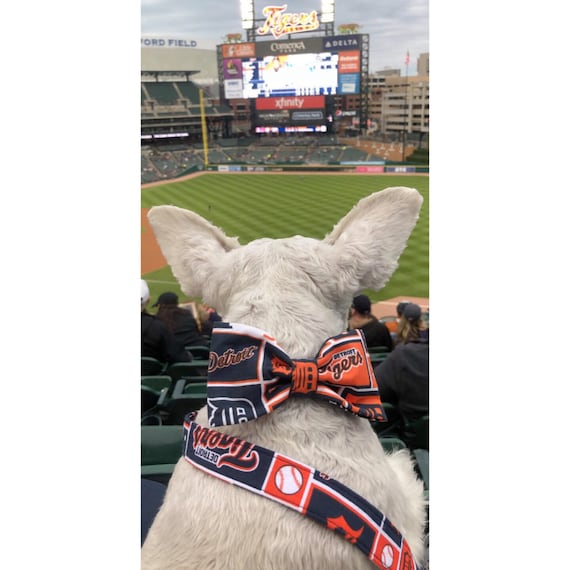 Detroit Tigers MLB Dog Collar Handmade by Terri's Dog 