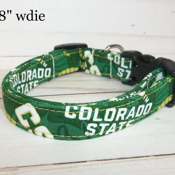 Colorado State Rams Tone on Tone Dog Collar custom made by Terri's Dog Collars adjustable NCAA green gold white team fabric