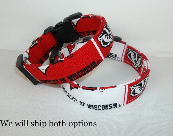 Wisconsin badgers store dog collar