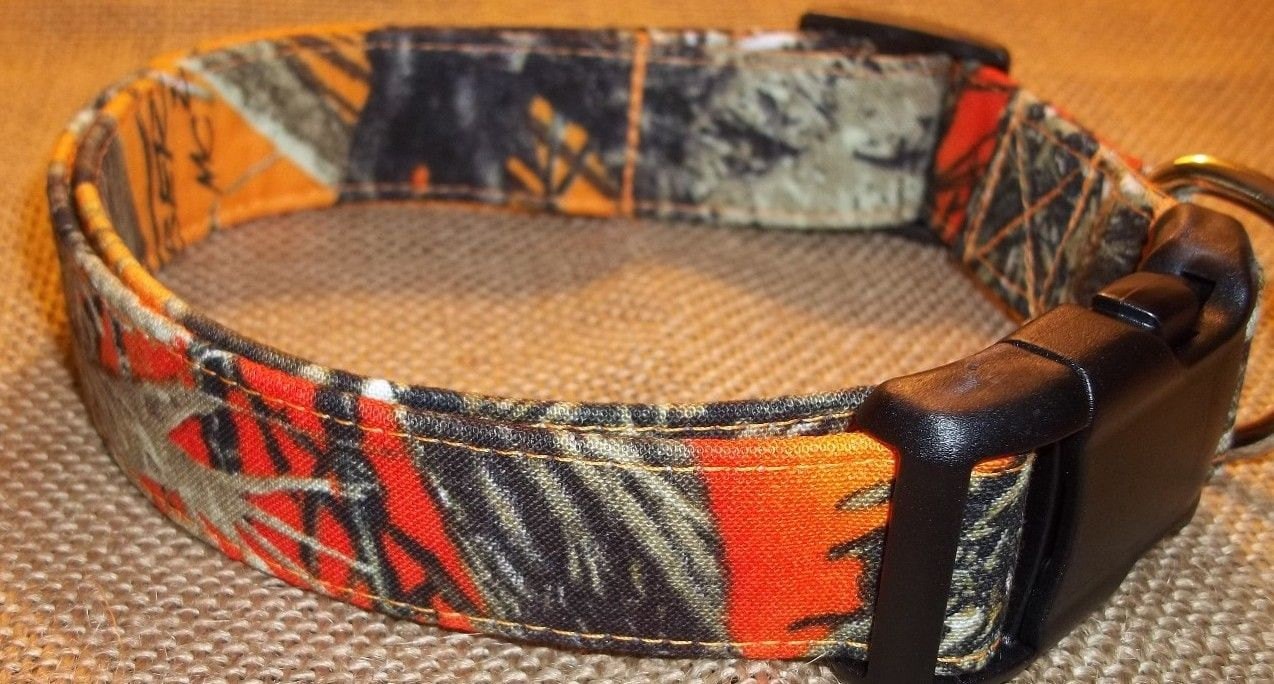 Blaze orange cheap dog collar