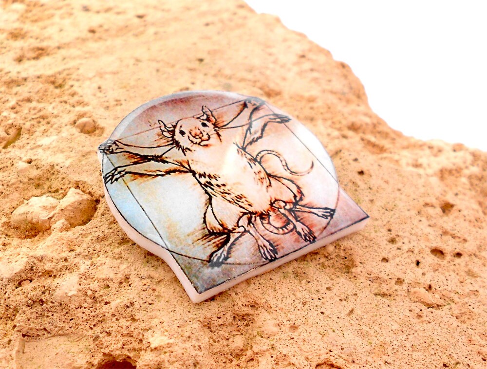 Vitruvian Rat Rat Leonardo Da Vinci, Pin Animal Brooch, Animal Jewelry