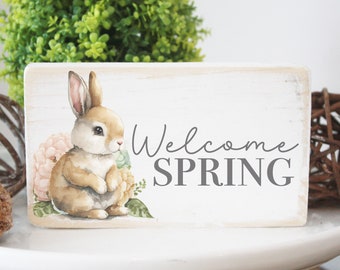 Welcome spring bunny  wood sign / signs for tiered tray / modern farmhouse decor