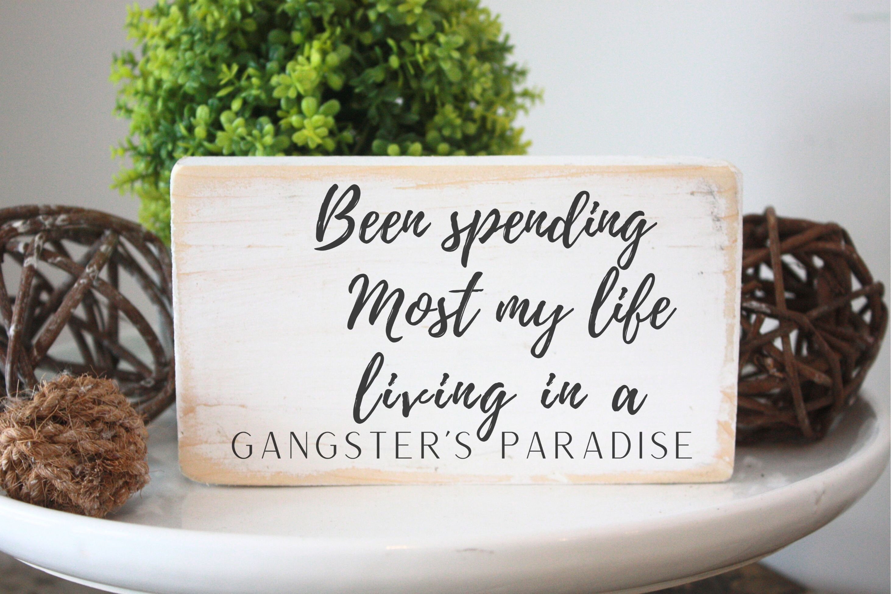 Been Spending Most My Life Living In A Gangster's Paradise 