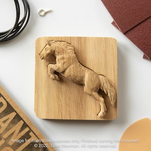 Horse Pendant Carving Kit