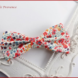 May include: A floral patterned bow tie in red, blue, and yellow on a cream background. The bow tie is set against a white, ornate frame. The text "Fleurs de Provence" is in the upper left corner.
