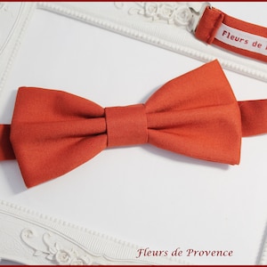 Pajarita / bolsillo traje / gemelos Elegante tejido terracota - ladrillo - Hombre / niños / bebés