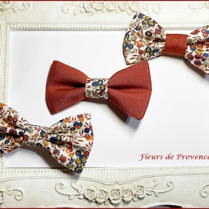 Op de afbeelding: Drie vlinderdassen in een witte lijst. Twee vlinderdassen hebben een bloemenpatroon met rode, blauwe en gele bloemen op een witte achtergrond. De derde is effen rood. De tekst "Fleurs de Provence" is rood.