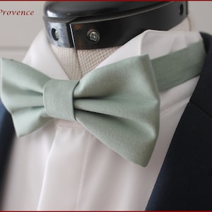 Può includere: Un papillon verde salvia su una camicia bianca e una giacca blu scuro.