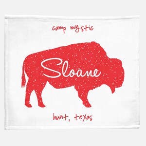 The Sloane Blanket - Tonk or Kiowa - Minky Blanket - 50" x 60"