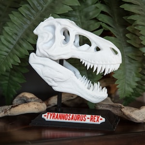 Dinosaur T, Rex Skull with Base & Nametag, High Quality, Great for kids and adults, 3D Printed, Mother&#39;s Day Gift