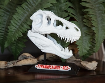 Dinosaur T, Rex Skull with Base & Nametag, High Quality, Great for kids and adults, 3D Printed, Christmas Gift