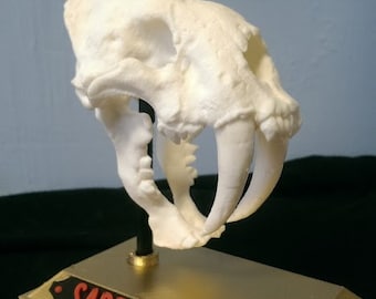 Saber, Tooth Cat Skull, 3D Printed, Saber Tooth Cat, Fossil Replica, Skull Model, Cat Skull Model, Memorial Day Gift