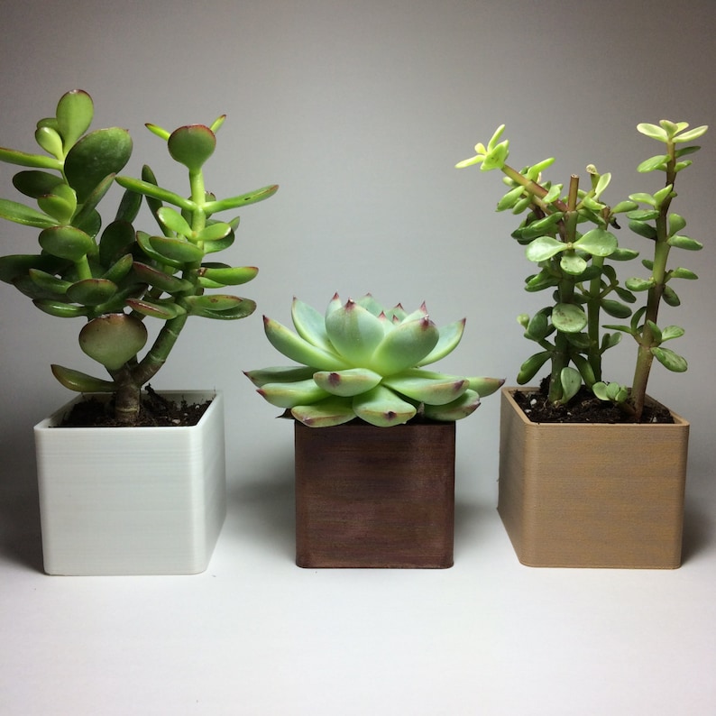 3D printed magnetic planters Set of 2 or moreFree shipping image 3