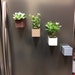 3D printed magnetic planters (Set of 2 or more)-Free shipping