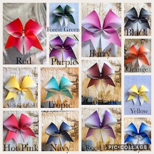 May include: A collection of 12 ombre hair bows in various colors, including red, purple, berry, orange, yellow gold, tropic, currant, yellow, hot pink, navy, regal purple, and royal blue.