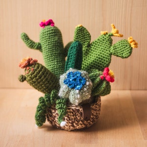 Large Crochet Garden with 7 Succulents & Cactuses in a Pot
