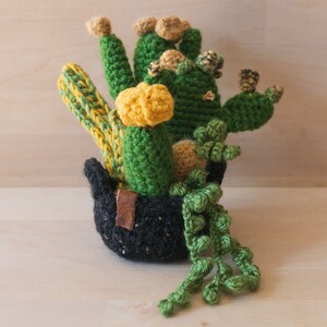 Large Crochet Garden with 6 Succulents & Cactuses in Black Pot