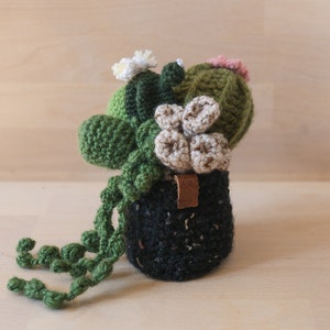 Crochet Garden with 6 Succulents & Cactuses in a Pot