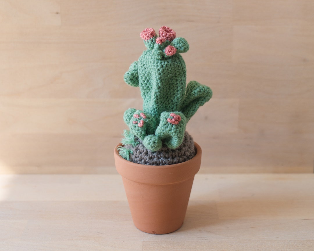 Light Green Crochet Cactus With Pink Flowers in Small Terracotta Pot - Etsy