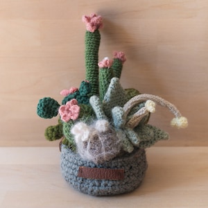 Large Crochet Garden with 7 Succulents & Cactuses in Grey Pot