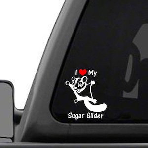 I Love My Sugar Glider - Vinyl decal sticker