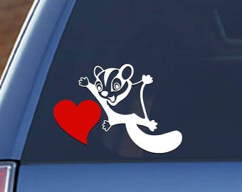 Sugar Glider Gliders Flying Love Infinity Heart Decal Window Bumper Sticker Car Sugar Glider Gliders Flying Love Infinity Heart Decal Window Bumper Sticker Car
