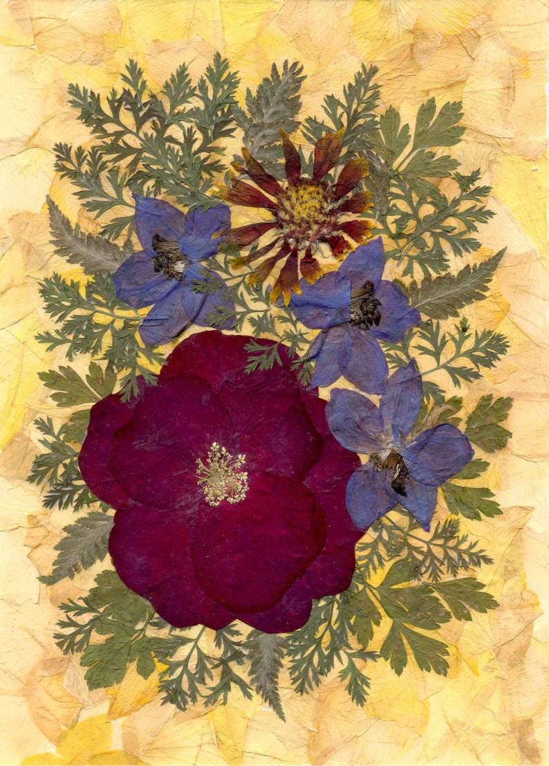 Rose Pressed Flowers Art Framed Dried Petals Farmhouse Kitchen Etsy