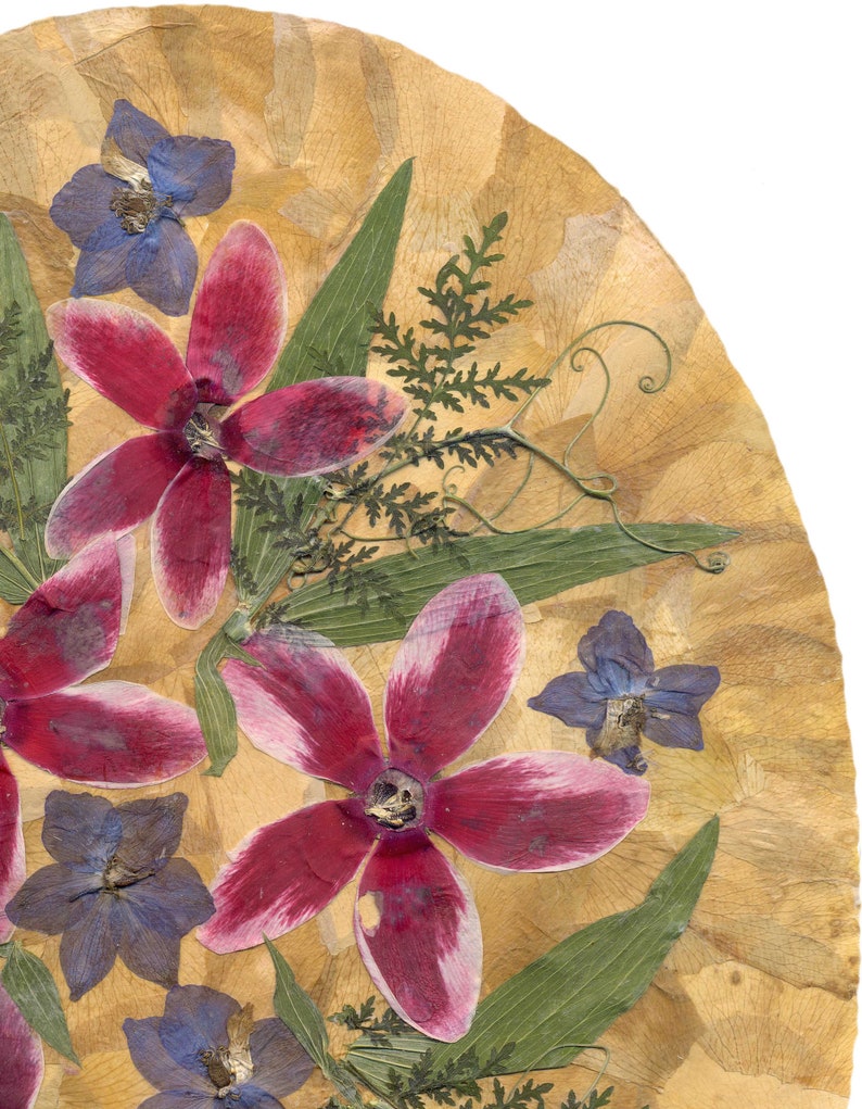 Dried Cyclamen Persicum Victorian Style Pressed Flowers Etsy