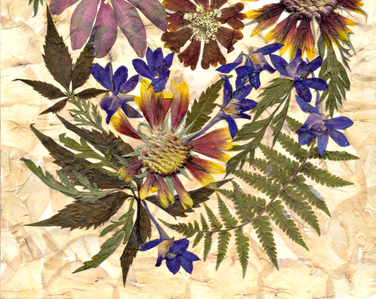 Pressed Wildflowers Dried Flowers Art Pressed Flowers Decor Etsy