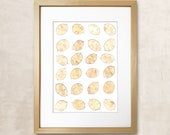 Herbarium Framed Pressed Botanical Dried Lunaria Home Decor Wall Decor