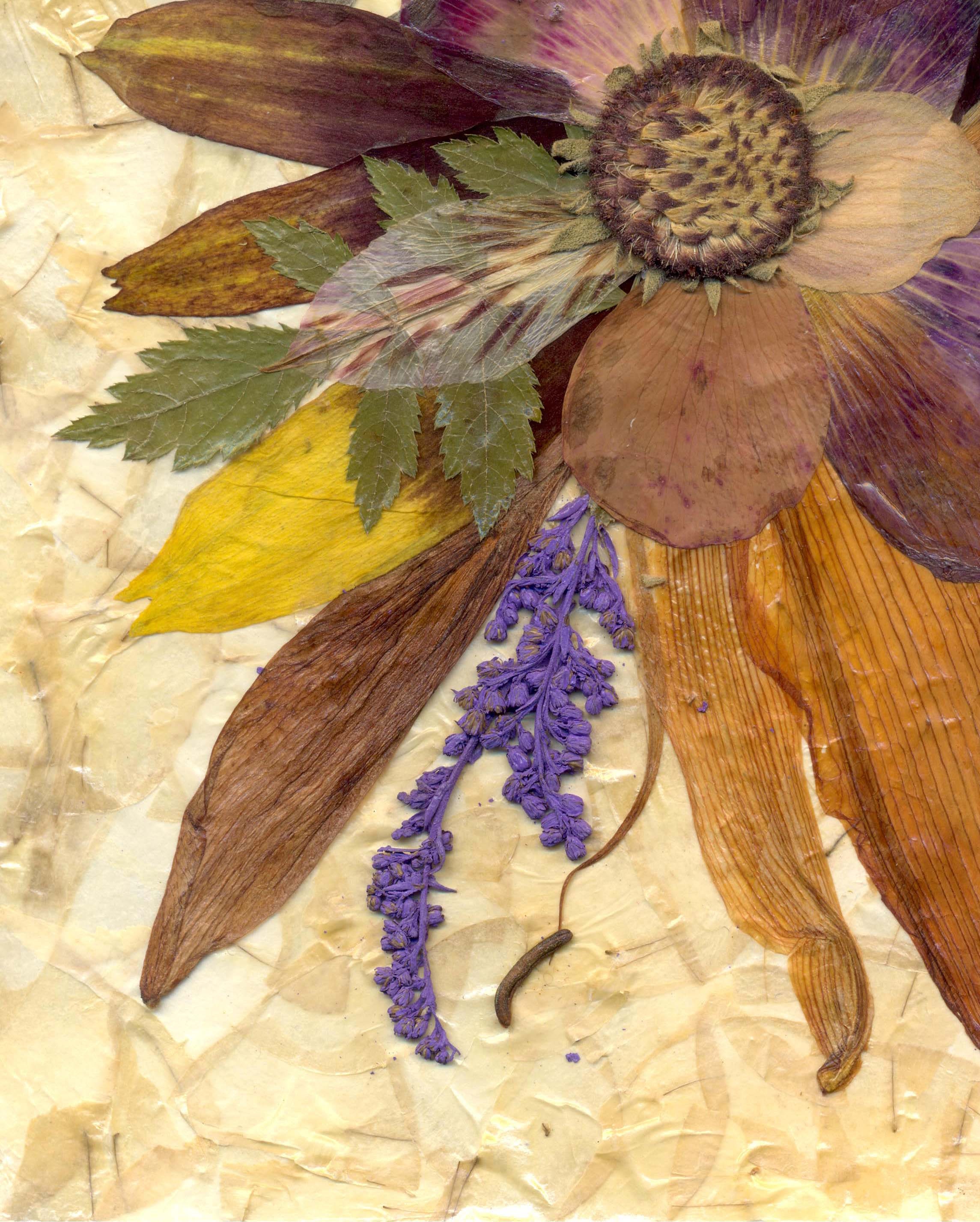 Dried Pressed Flowers Pressed Leaves Farmhouse Wall Art Etsy