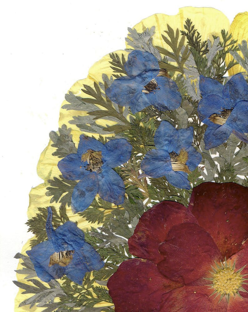 Pressed Rose Pressed Flowers Art Framed Dried Leaves Flower Etsy